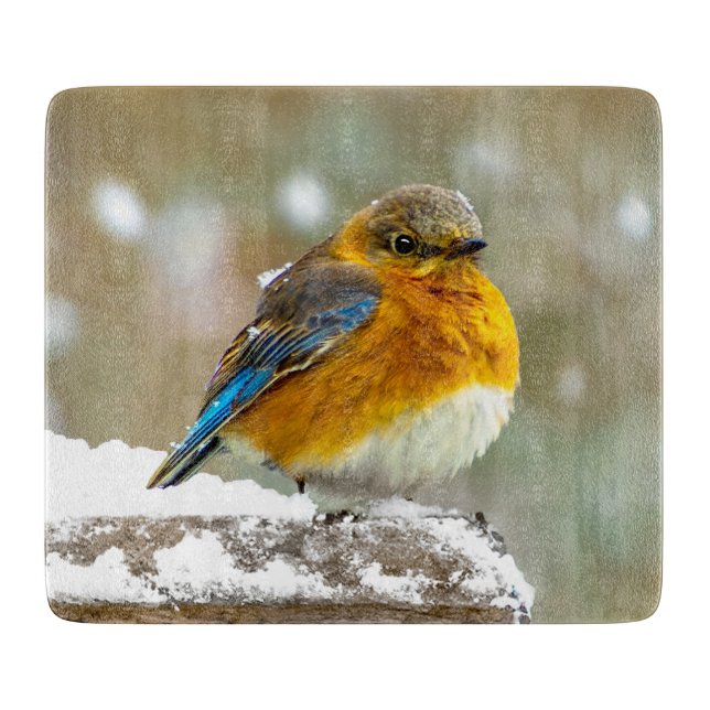 Eastern Bluebird in Snow - Original Photograph Cutting Board (Front)