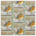 Eastern Bluebird in Snow - Original Photograph Fabric