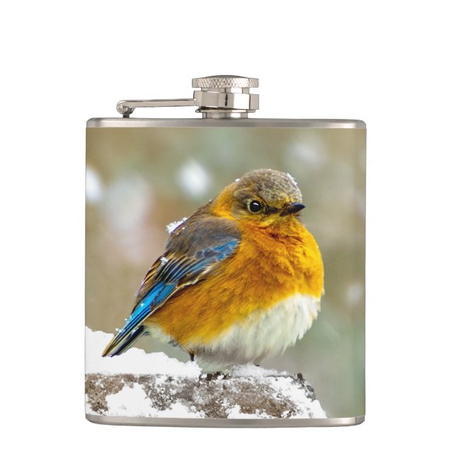 Eastern Bluebird in Snow - Original Photograph Flask (Front)