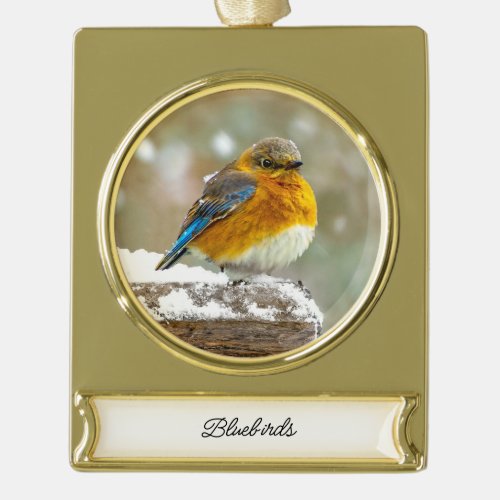 Eastern Bluebird in Snow _ Original Photograph Gold Plated Banner Ornament