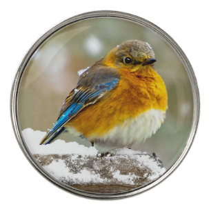 Eastern Bluebird in Snow - Original Photograph Golf Ball Marker
