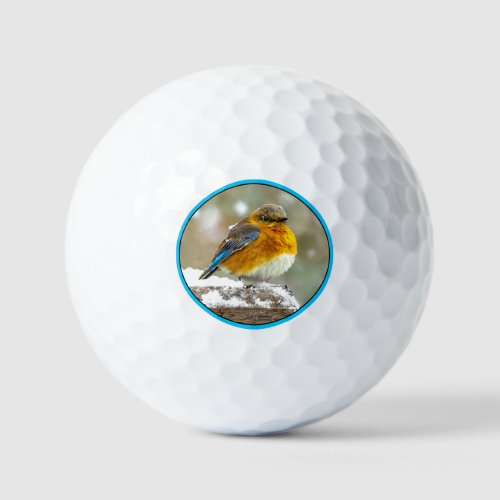 Eastern Bluebird in Snow _ Original Photograph Golf Balls