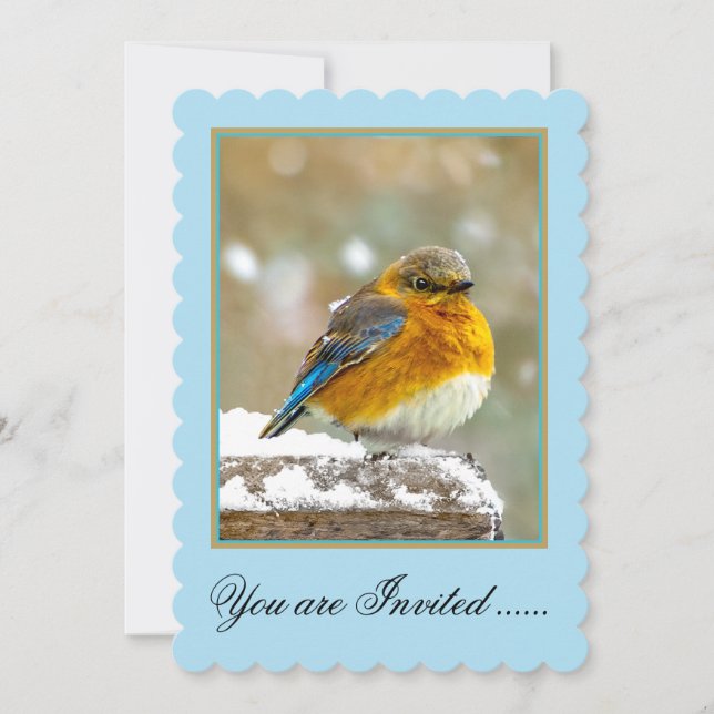 Eastern Bluebird in Snow - Original Photograph Invitation (Front)