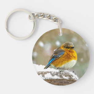 Eastern Bluebird in Snow - Original Photograph Keychain