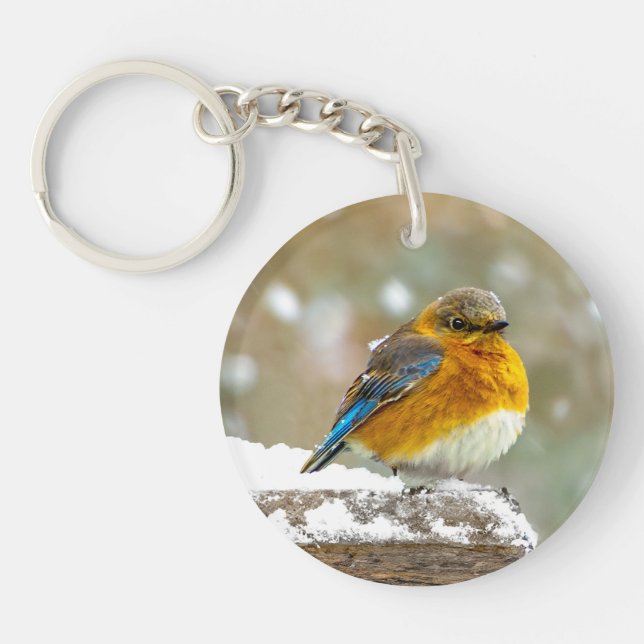 Eastern Bluebird in Snow - Original Photograph Keychain (Front)