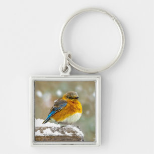 Eastern Bluebird in Snow - Original Photograph Keychain