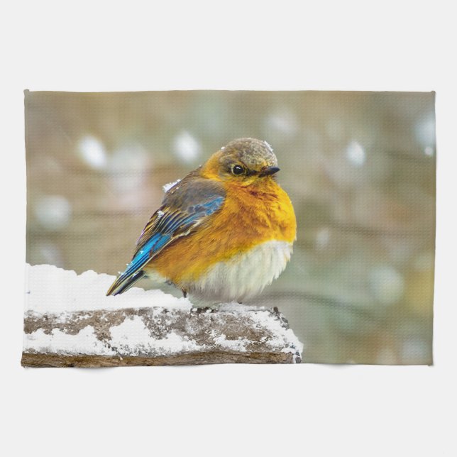 Eastern Bluebird in Snow - Original Photograph Kitchen Towel (Horizontal)