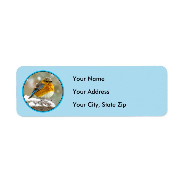 Eastern Bluebird in Snow - Original Photograph Label (Front)