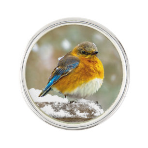 Eastern Bluebird in Snow - Original Photograph Lapel Pin