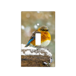 Eastern Bluebird in Snow - Original Photograph Light Switch Cover
