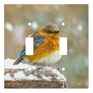 Eastern Bluebird in Snow - Original Photograph Light Switch Cover