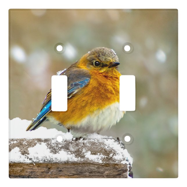 Eastern Bluebird in Snow - Original Photograph Light Switch Cover (Front)