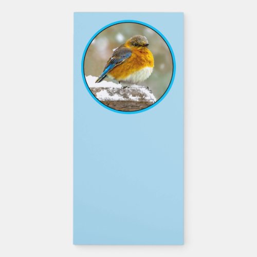 Eastern Bluebird in Snow _ Original Photograph Magnetic Notepad
