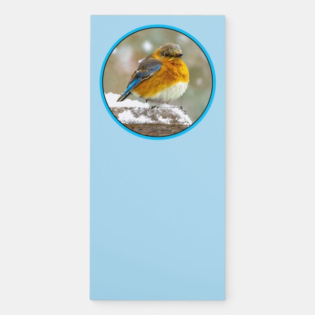 Eastern Bluebird in Snow - Original Photograph Magnetic Notepad (Front)
