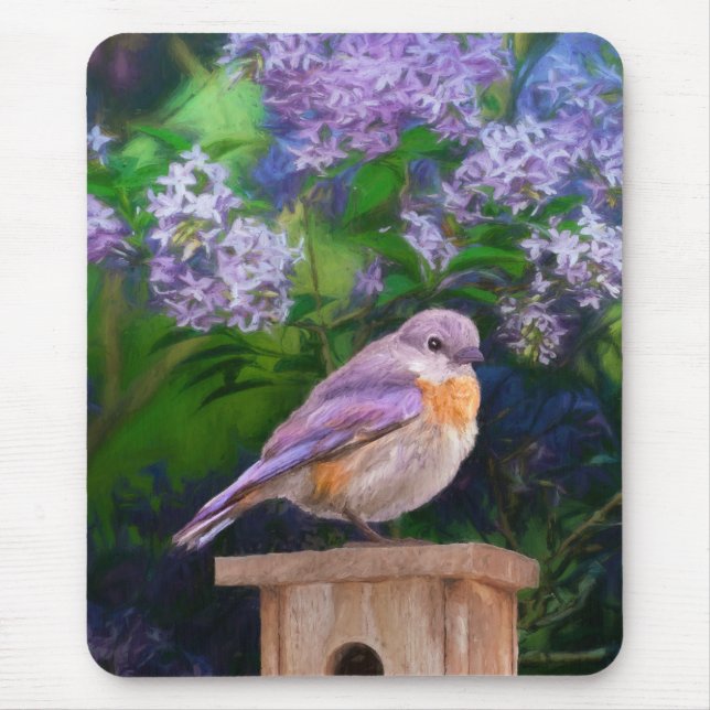 Eastern Bluebird in Snow - Original Photograph Mouse Pad (Front)