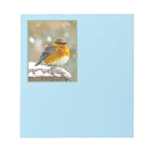 Eastern Bluebird in Snow - Original Photograph Notepad