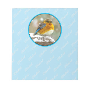 Eastern Bluebird in Snow - Original Photograph Notepad