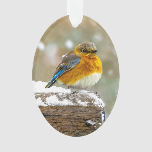 Eastern Bluebird in Snow - Original Photograph Ornament