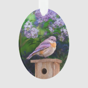Eastern Bluebird in Snow - Original Photograph Ornament