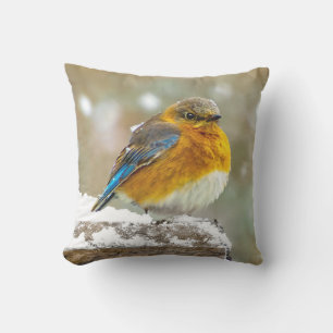Eastern Bluebird in Snow - Original Photograph Outdoor Pillow