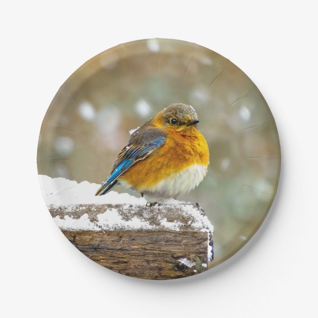 Eastern Bluebird in Snow - Original Photograph Paper Plates (Front)