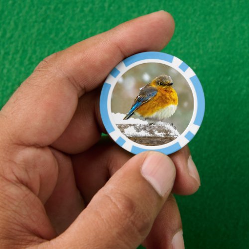 Eastern Bluebird in Snow _ Original Photograph Poker Chips