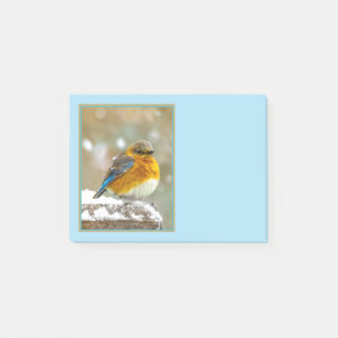Eastern Bluebird in Snow - Original Photograph Post-it Notes