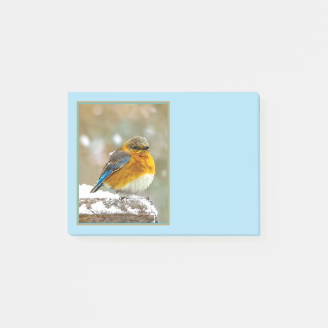 Eastern Bluebird in Snow - Original Photograph Post-it Notes (Front)