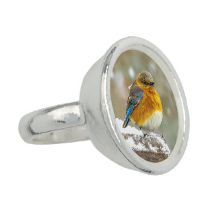 Eastern Bluebird in Snow - Original Photograph Ring