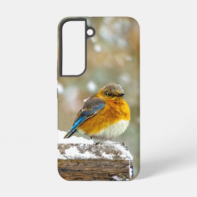 Eastern Bluebird in Snow - Original Photograph Samsung Galaxy Case (Back)