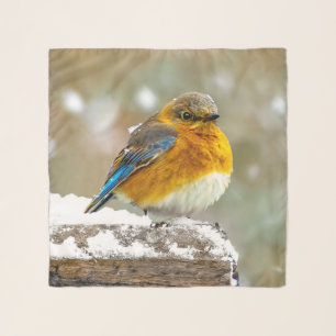 Eastern Bluebird in Snow - Original Photograph Scarf