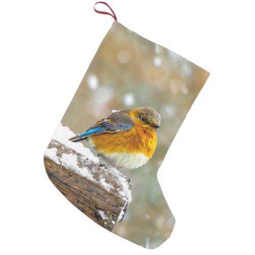 Eastern Bluebird in Snow _ Original Photograph Small Christmas Stocking