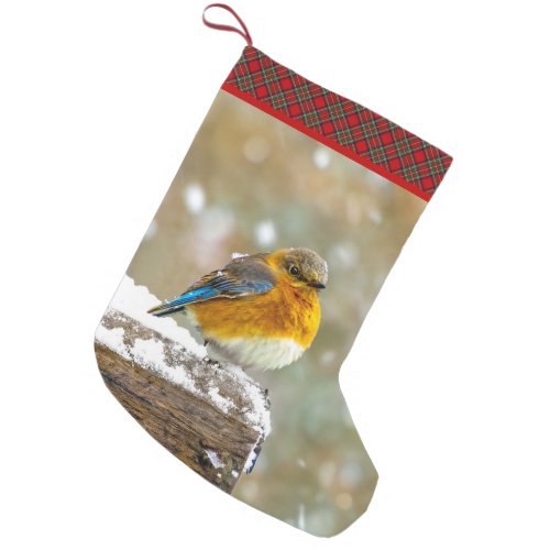 Eastern Bluebird in Snow _ Original Photograph Small Christmas Stocking