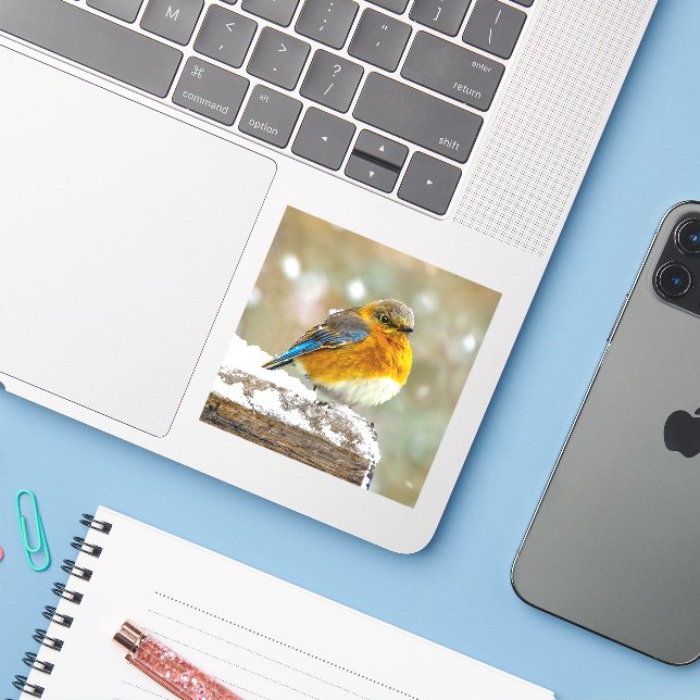 Eastern Bluebird in Snow - Original Photograph Sticker (Laptop w/ iPhone)
