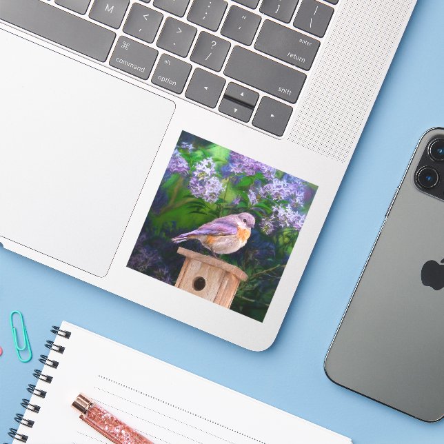 Eastern Bluebird in Snow - Original Photograph Sticker (Laptop w/ iPhone)