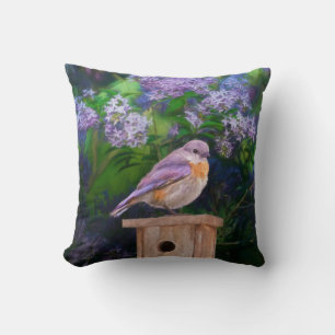 Eastern Bluebird in Snow - Original Photograph Throw Pillow