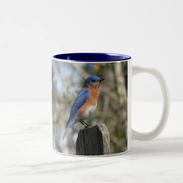 Eastern Bluebird Male Mug (Right)