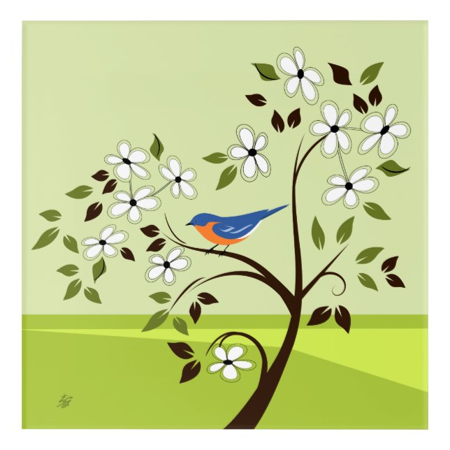 Eastern Bluebird On Flowering Tree Acrylic Print (Front)