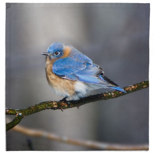 Eastern Bluebird on Limb Cloth Napkin