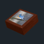 Eastern Bluebird on Limb Keepsake Gift Box<br><div class="desc">Eastern Bluebird on Ice Covered Limb Keepsake Gift Box</div>