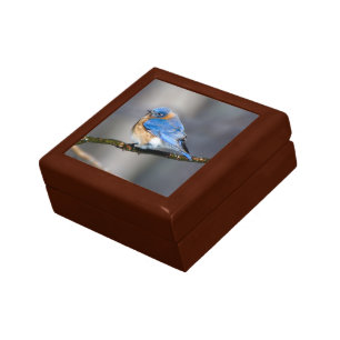 Eastern Bluebird on Limb Keepsake Gift Box