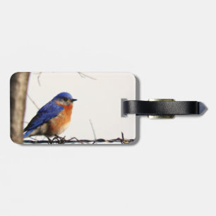 Eastern Bluebird Photo Luggage Tag