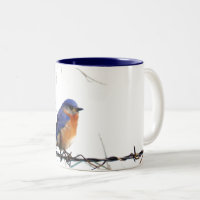 Personalized Grandma Gift with Custom Bluebird Mug - Unique