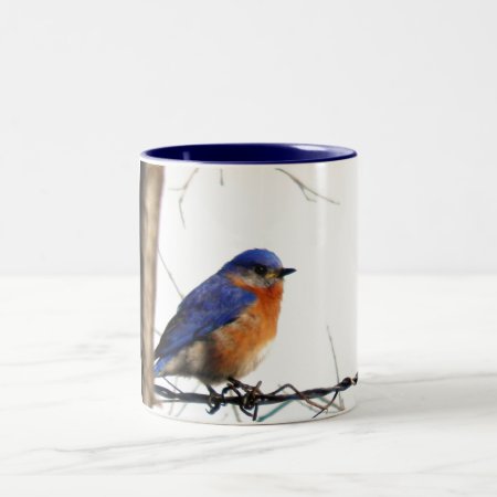 Eastern Bluebird Photo Two-tone Coffee Mug