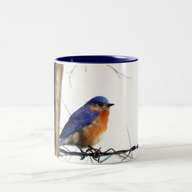 Eastern Bluebird Photo Two-Tone Coffee Mug (Center)