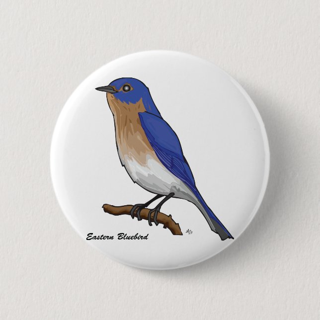 EASTERN BLUEBIRD PINBACK BUTTON (Front)