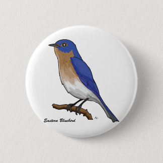 EASTERN BLUEBIRD PINBACK BUTTON