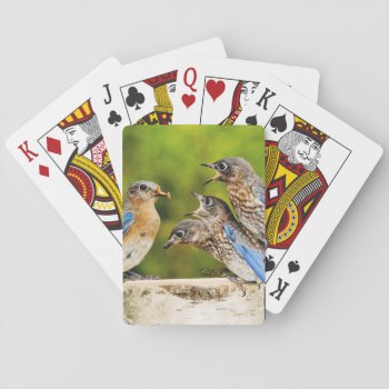 Eastern Bluebird Playing Cards by birdsandblooms at Zazzle