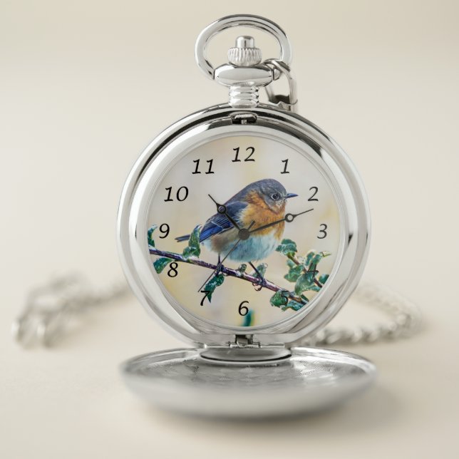 Eastern Bluebird Pocket Watch (Inside)