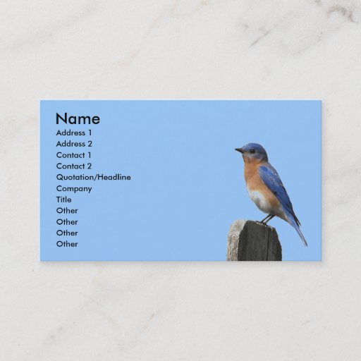 Customizable Eastern Bluebird Profile Card Business Cards